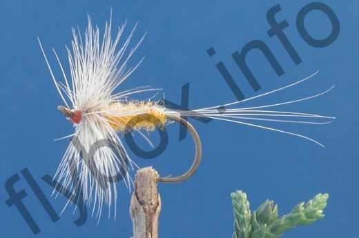 Ginger Spinner Fly - Fishing Flies with Fish4Flies Worldwide
